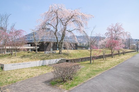 20200430yagasaki-shidare-sakuraA01.jpg