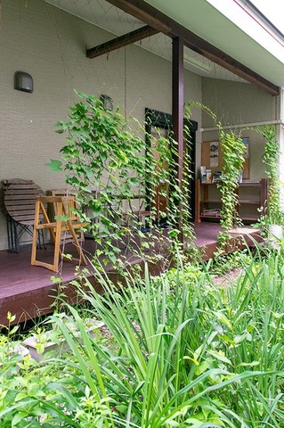 20200703midori01.jpg