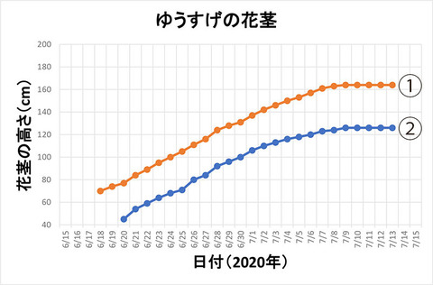 20200713yusuge-kakei-graph01.jpg