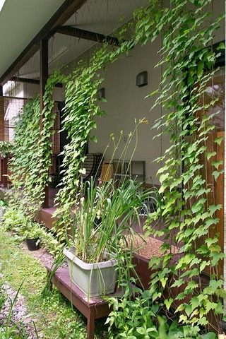 20200720midori02.jpg