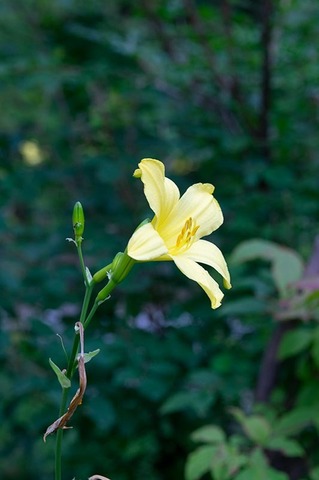 20200803yusuge_jiueA_1546.jpg