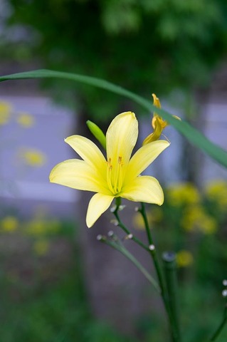 20200817yusuge_jiueB_1643.jpg