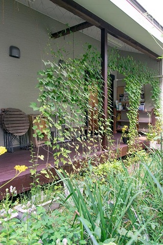 20200826midori01.jpg