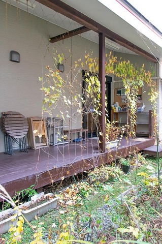 20201029midori01.jpg