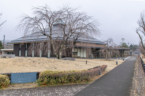 20210321yagasaki-shidare-sakuraB01.jpg