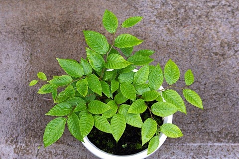 202106702buna_su_8y_01.jpg