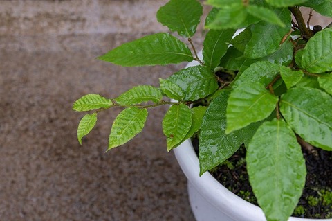 202106702buna_su_8y_02.jpg