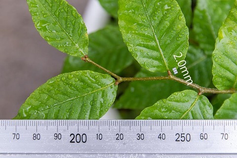 202106702buna_su_8y_03.jpg