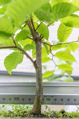 202106702buna_su_8y_04.jpg