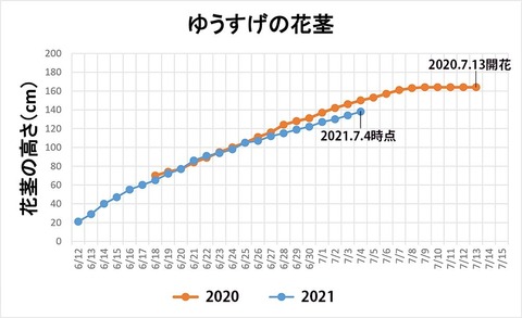 20210704EXQԌs.jpg