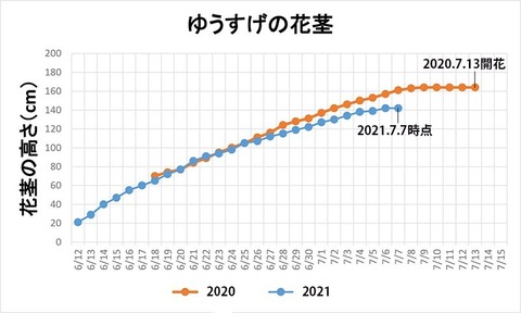 20210707EXQԌs.jpg
