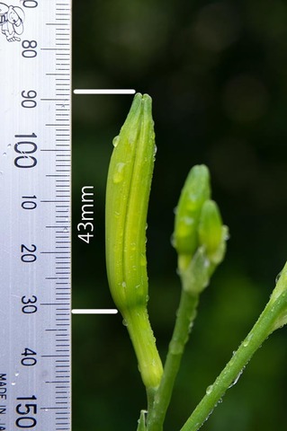 20210709EXQ_nAA03ڂ.jpg