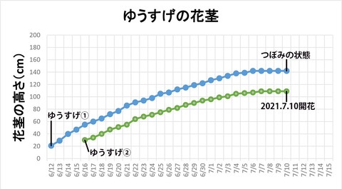 20210710EXQԌsre.jpg