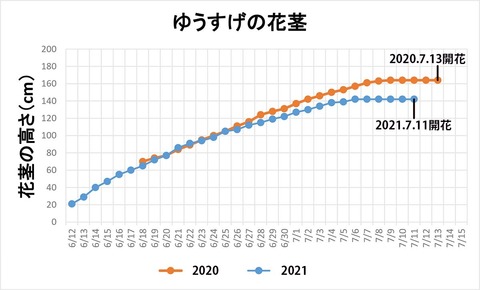 20210711EXQԌs.jpg