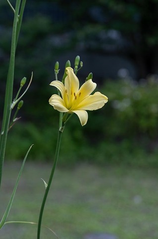 20210712EXQ_nA02-1838.jpg