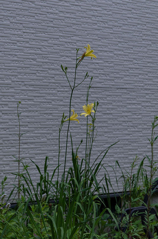 20210713EXQ_nA01-1855.jpg