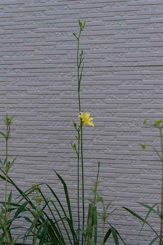 20210717EXQ_nA01-1723.jpg