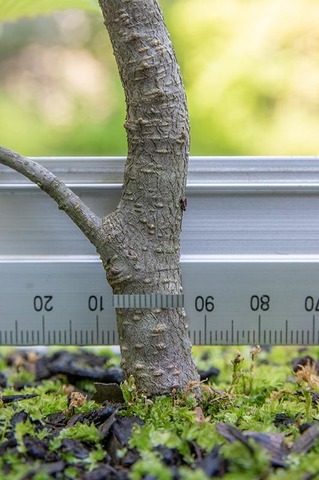 20210801inubuna10y_dan_04.jpg