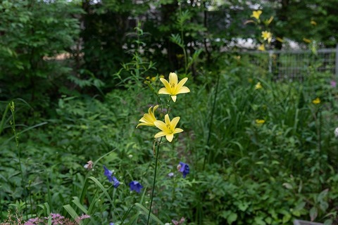 20210802EXQ_nAA02-1723.jpg