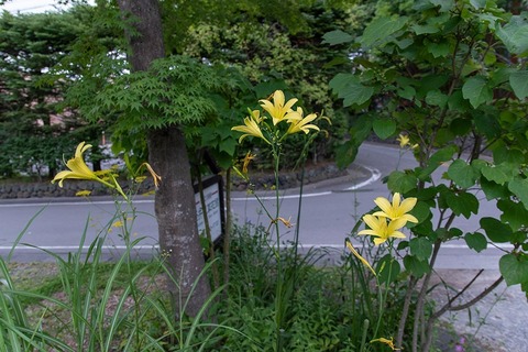 20210807EXQ_nAA01-1652.jpg
