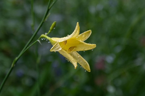 20210808EXQ_nAA01-1734.jpg