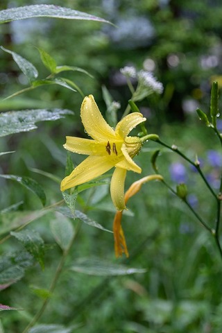 20210808EXQ_nAB01-1738.jpg