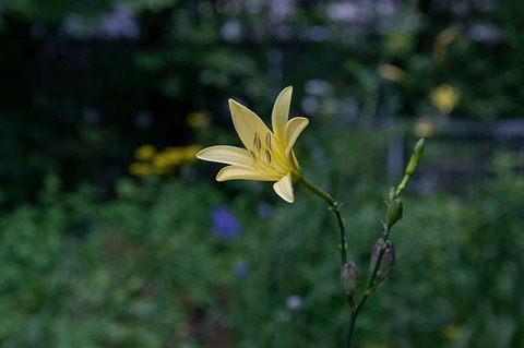20210809EXQ_nAB01-1658.jpg
