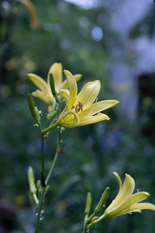 20210809EXQ_nAC01-1659.jpg