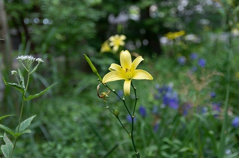 20210811EXQ_nAA01-1727.jpg