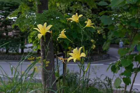 20210811EXQ_nAA02-1724.jpg