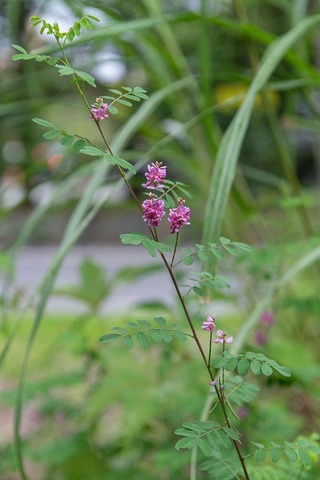 20210812museum-komatsunagi.jpg