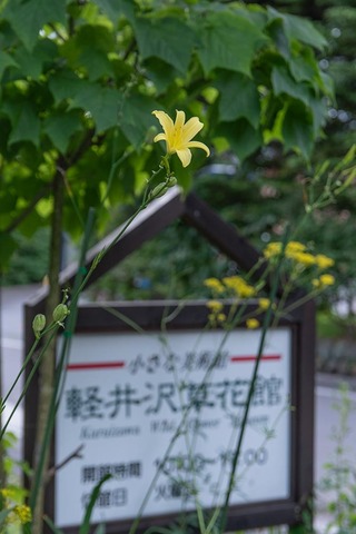 20210819EXQ_nAC01-1731.jpg