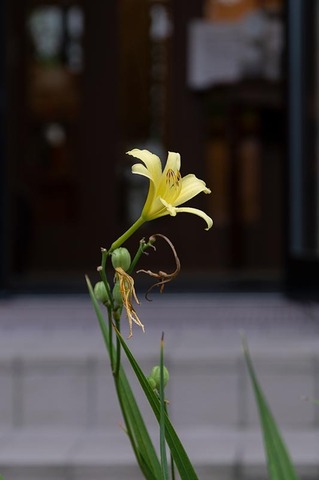 20210821EXQ_nAA01-1610.jpg