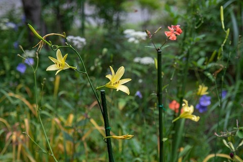20210821EXQ_nAB01-1624.jpg