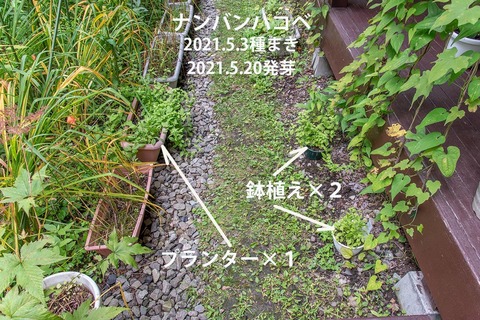 20210822nanbanhakobe01.jpg
