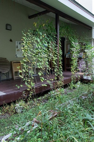 20210915midori01.jpg