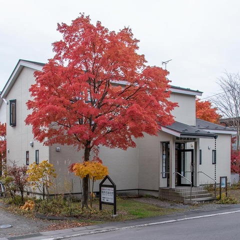 20211101museum-irohamomiji01.jpg