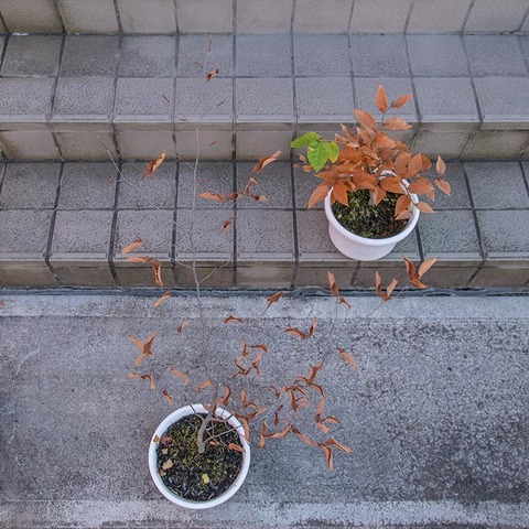 20211106inubuna10y_dan_04.jpg