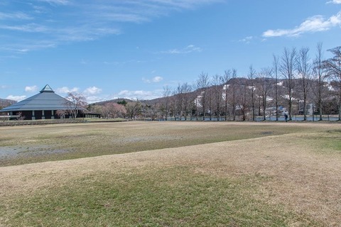 20220416yagasaki-katsura.jpg