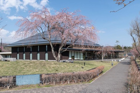 20220419yagasaki-shidare-sakuraB01.jpg