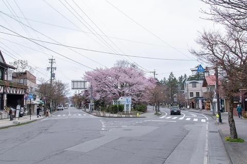 20220421kyu-karuizawa-sakura02.jpg