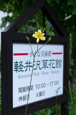 20220712yusugeA01-0636.jpg