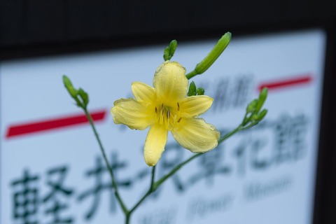 20220712yusugeA03-1641.jpg