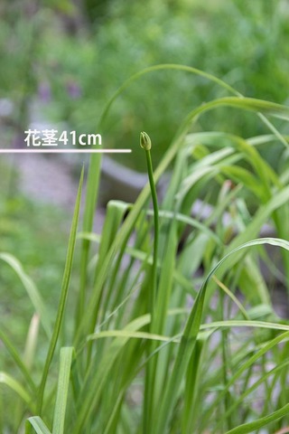 20220713v^[6N20170504܂02.jpg