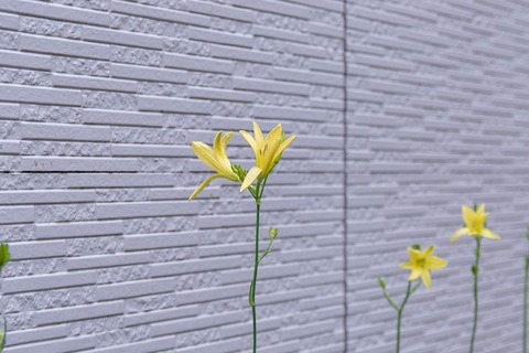 20220714yusugeA01_1717.jpg