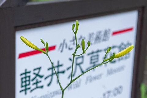 20220716yusugeA01-1655.jpg