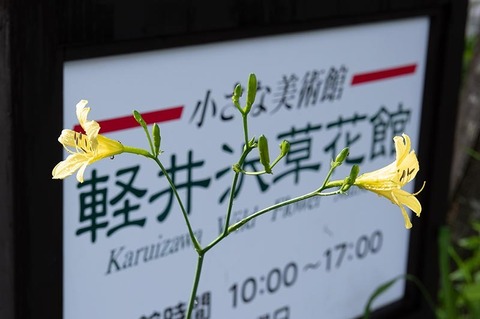 20220716yusugeA03-0717_0636.jpg