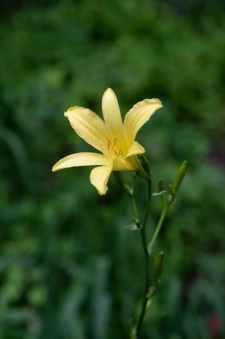 20220716yusugeB01-1654.jpg