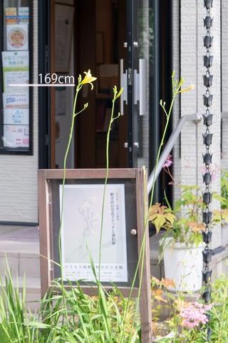 20220718yusugeA01-1641.jpg
