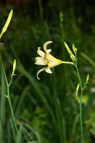 20220719yusugeB01-1933.jpg